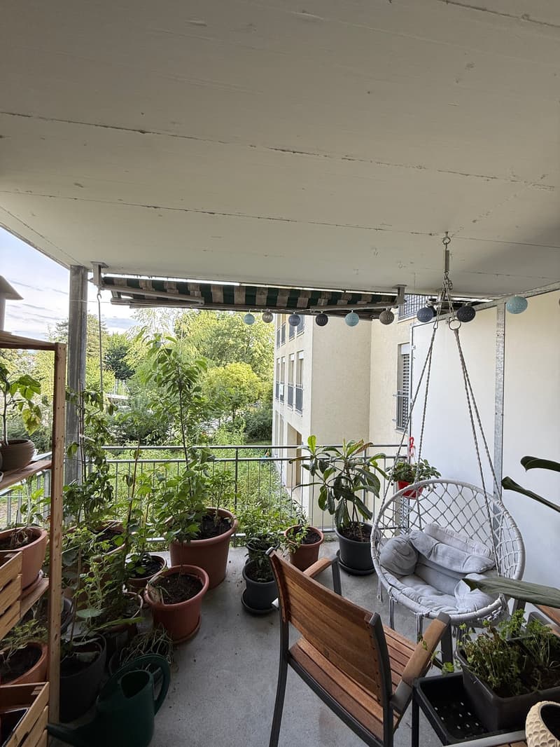 Bright 3.5-room apartment in Uster (14)