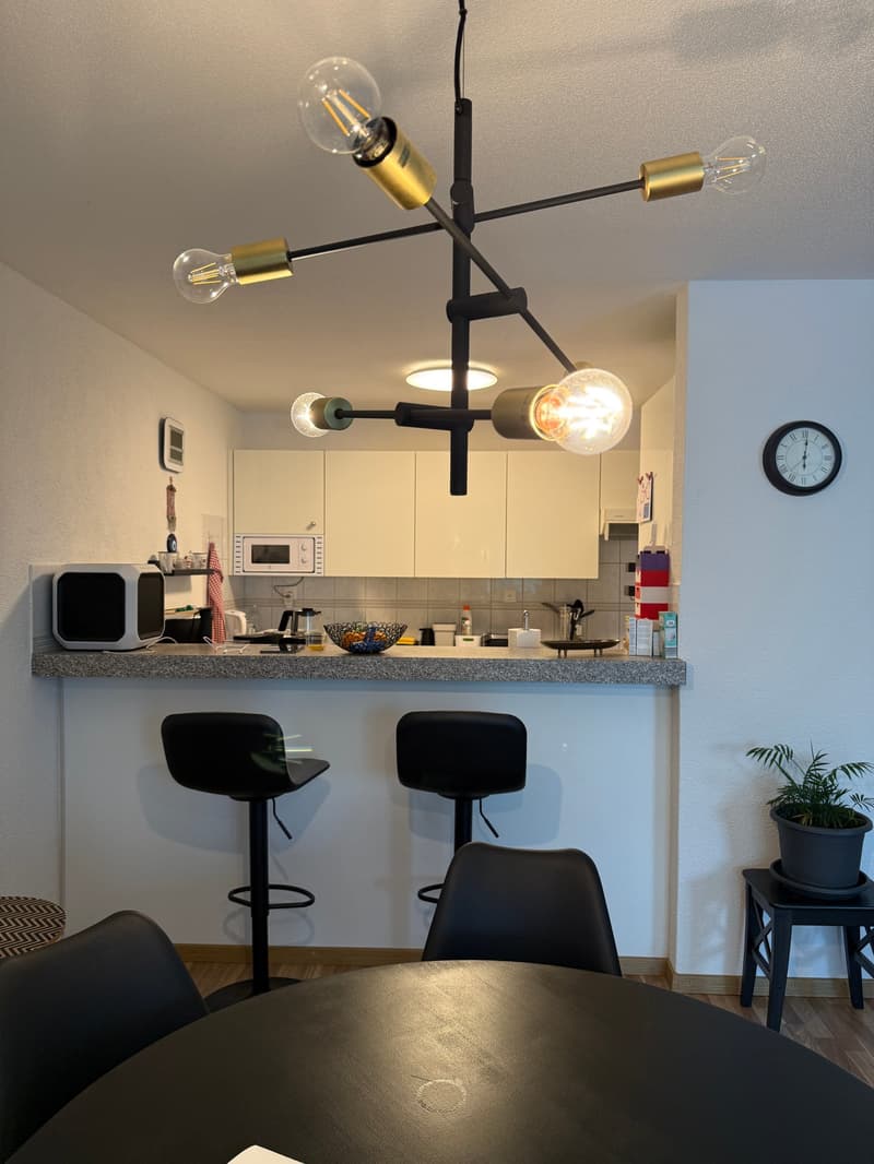 Bright 3.5-room apartment in Uster (9)