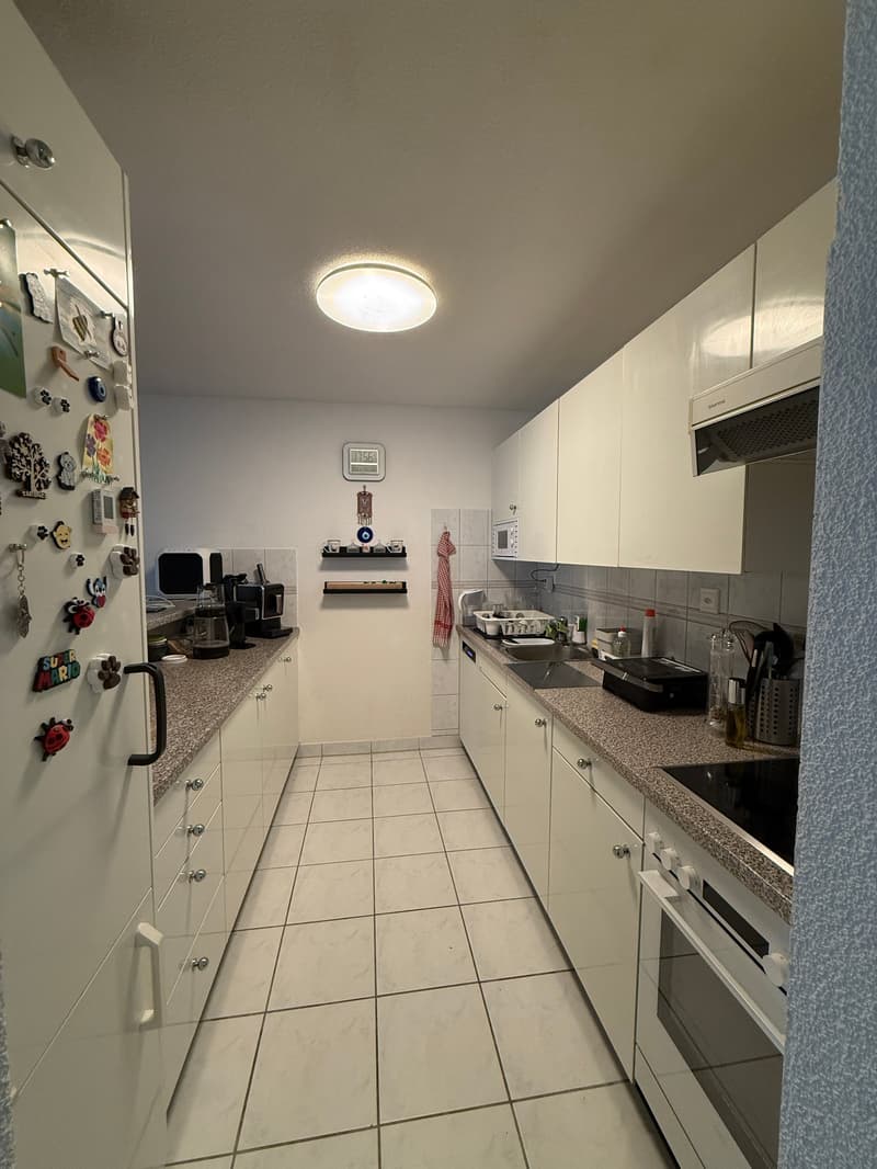 Bright 3.5-room apartment in Uster (7)