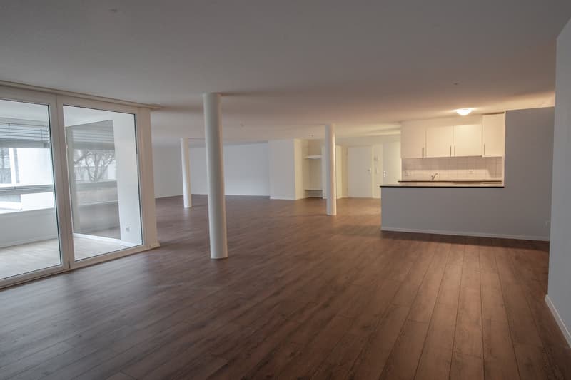 Appartement Loft Moderne sur Mattenstrasse à Biel (3)
