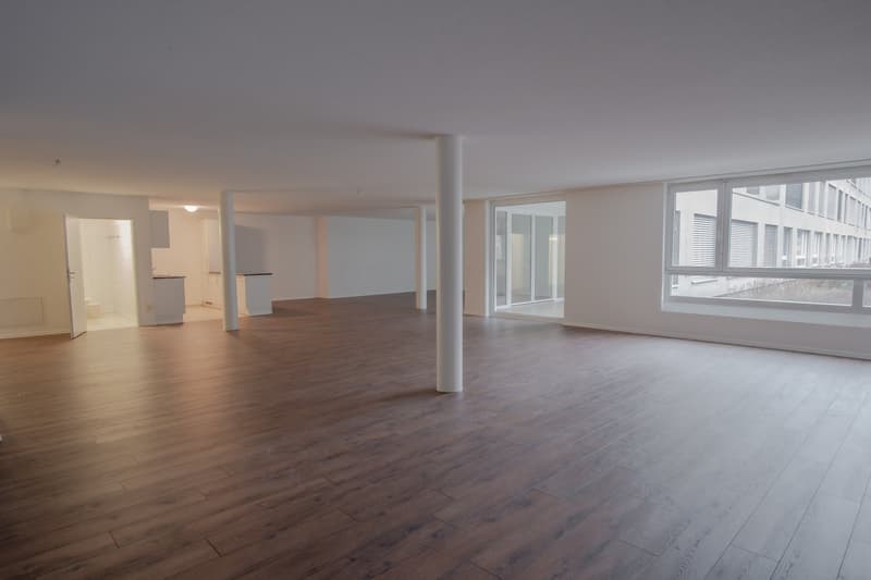 Appartement Loft Moderne sur Mattenstrasse à Biel (2)