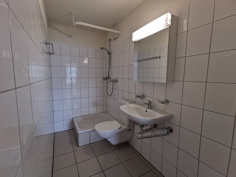 Appartement Loft Moderne sur Mattenstrasse à Biel (6)