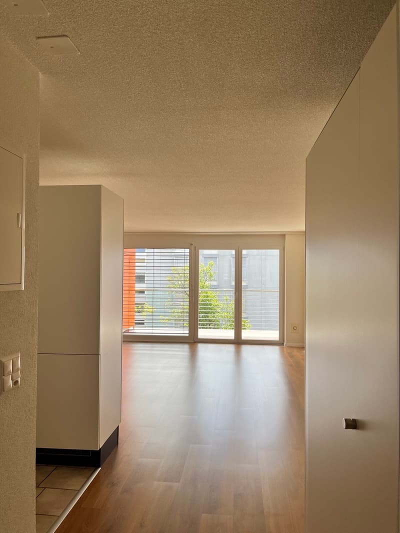 Appartamento luminoso 3.5 locali con balcone a Buchs (7)