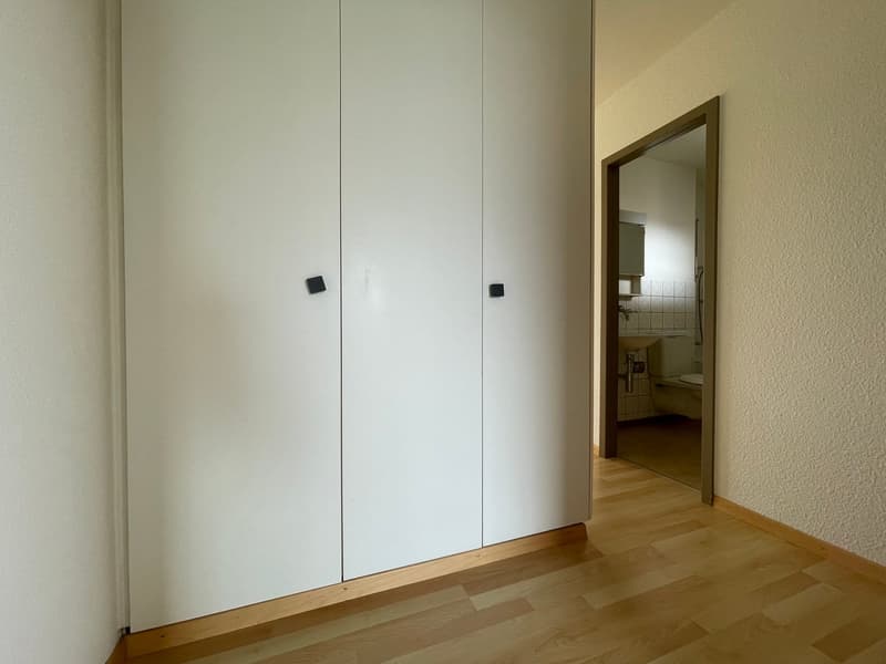 1.5-Zimmer-Attikawohnung mit Terrasse in Oetwil an der Limmat (6)