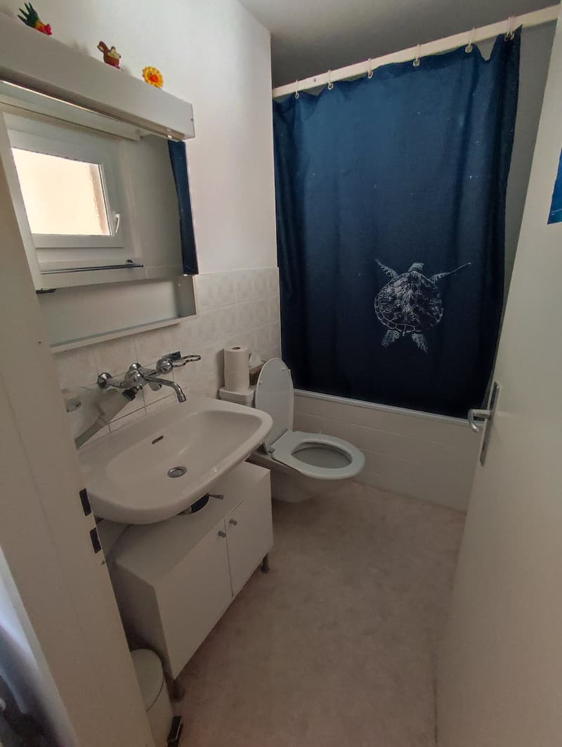 1.5-Zimmer-Attikawohnung mit Terrasse in Oetwil an der Limmat (5)