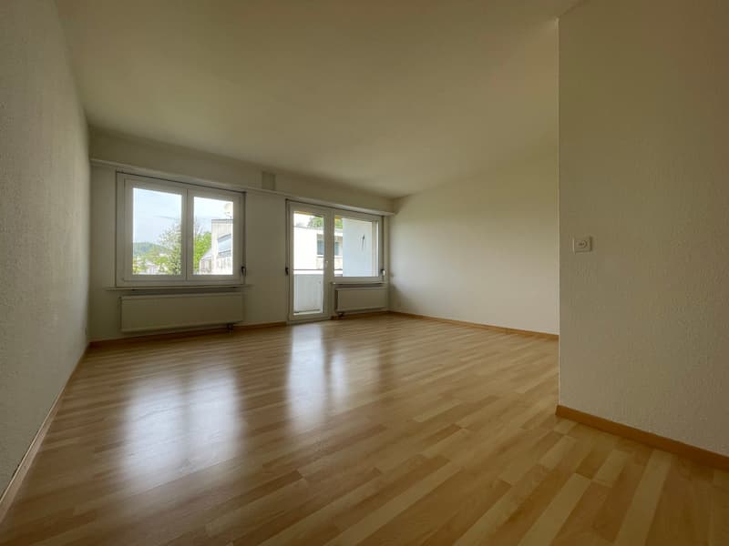 1.5-Zimmer-Attikawohnung mit Terrasse in Oetwil an der Limmat (2)