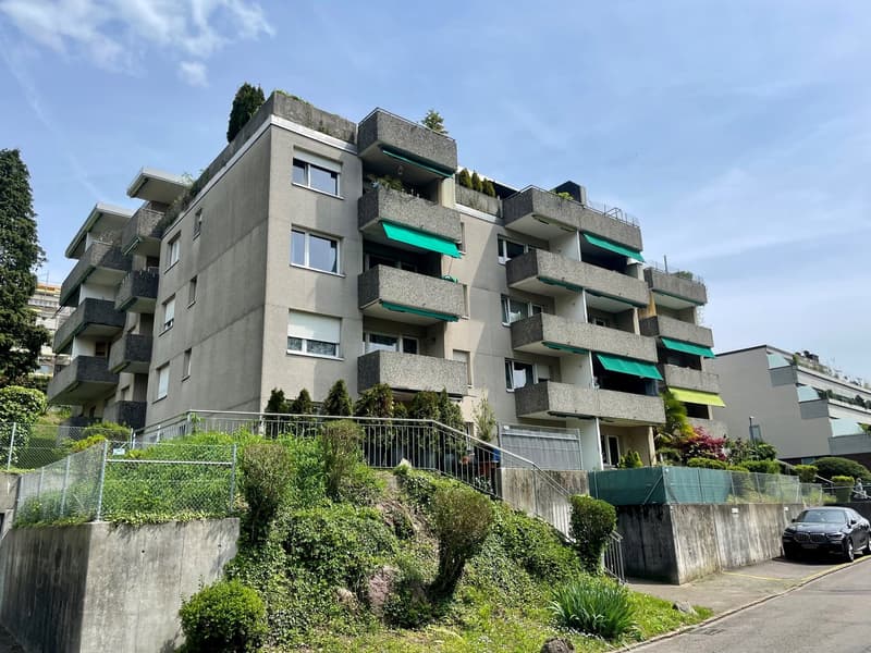 1.5-Zimmer-Attikawohnung mit Terrasse in Oetwil an der Limmat (1)