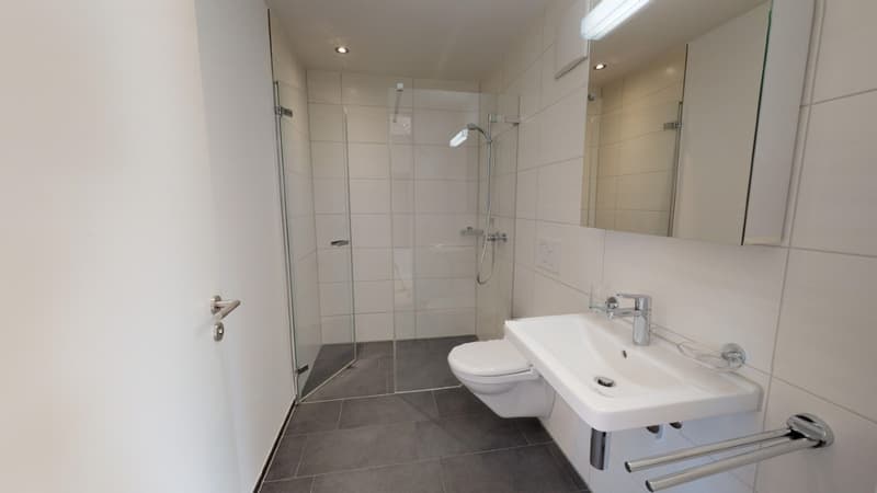 Charming 3.5-room attic apartment in Menziken – modern, quiet, and sunny (6)