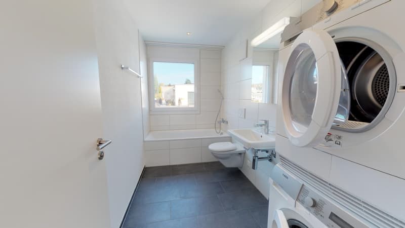 Charming 3.5-room attic apartment in Menziken – modern, quiet, and sunny (7)