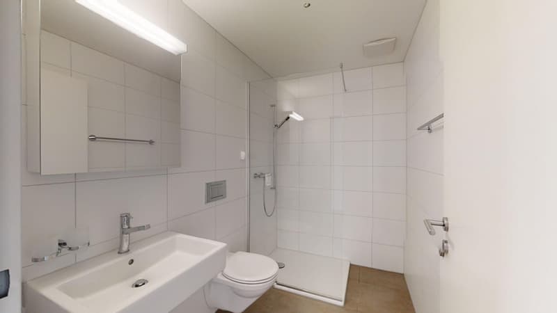 Bright 4.5-room apartment with large balcony in Sarmenstorf (7)
