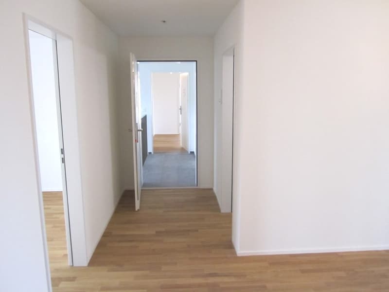 Bright 4.5-room apartment with large balcony in Sarmenstorf (8)