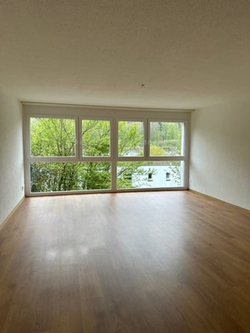 Wohn-, Ess- und Schlafzimmer