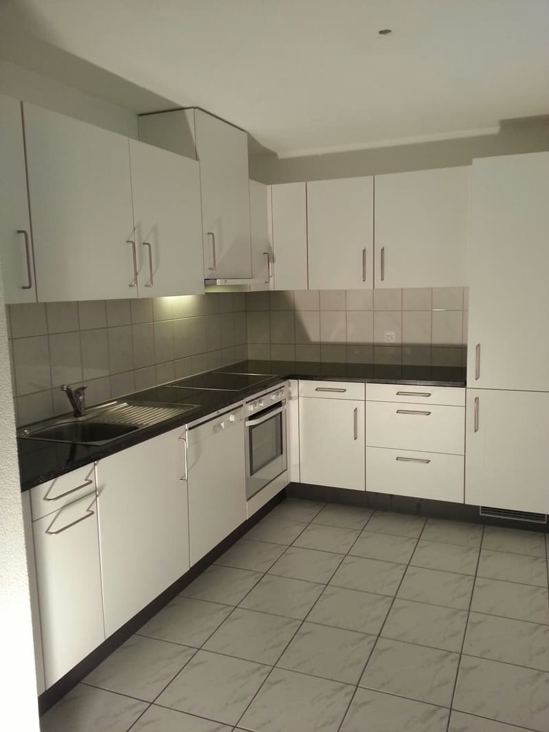 Beautiful, spacious 2.5-room apartment with winter garden on the 4th floor (5)