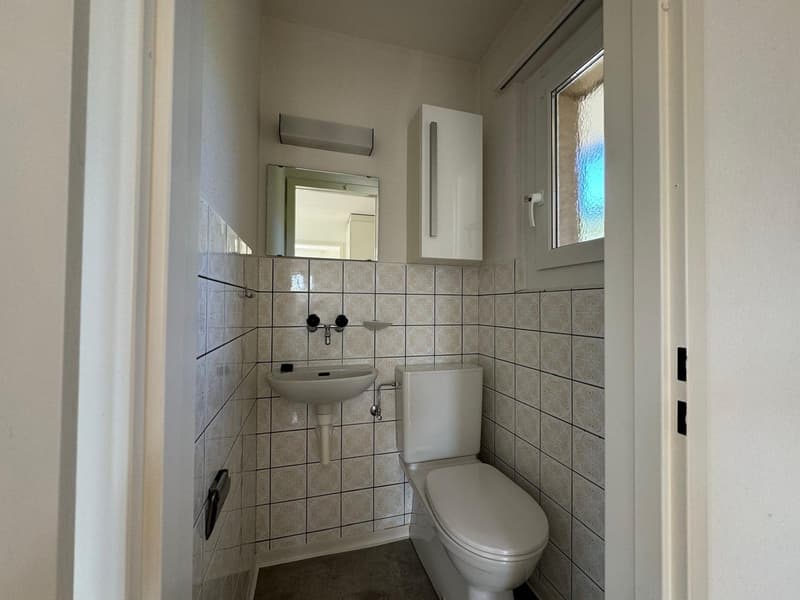 Charming 4.5-room attic apartment in Oetwil an der Limmat (16)