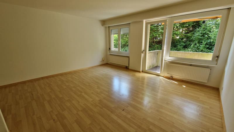 Gemütliche 1.5-Zimmer-Wohnung mit Balkon in Oetwil an der Limmat (1)