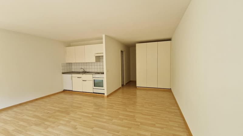 Gemütliche 1.5-Zimmer-Wohnung mit Balkon in Oetwil an der Limmat (2)