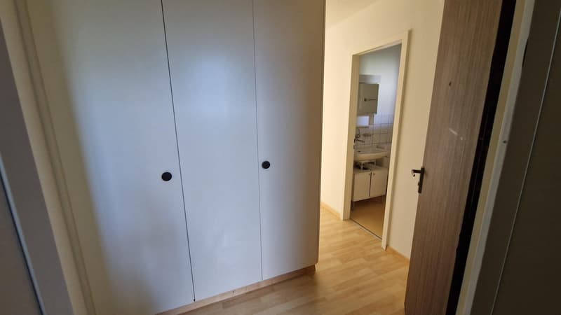 Gemütliche 1.5-Zimmer-Wohnung mit Balkon in Oetwil an der Limmat (3)