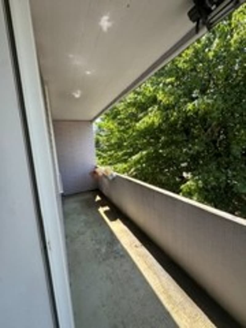 Bright 4-room apartment with balcony and green view in Hinwil (5)