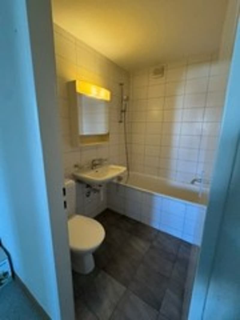 Bright 4-room apartment with balcony and green view in Hinwil (6)