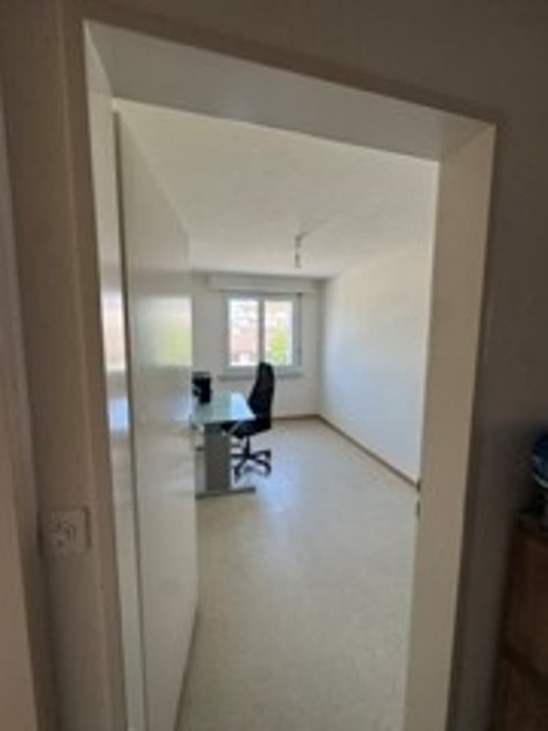 Bright 4-room apartment with balcony and green view in Hinwil (9)