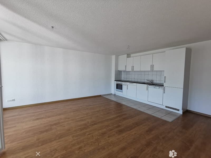 Helle 2.5-Zimmer-Wohnung in Biel – Modern und zentral gelegen (2)