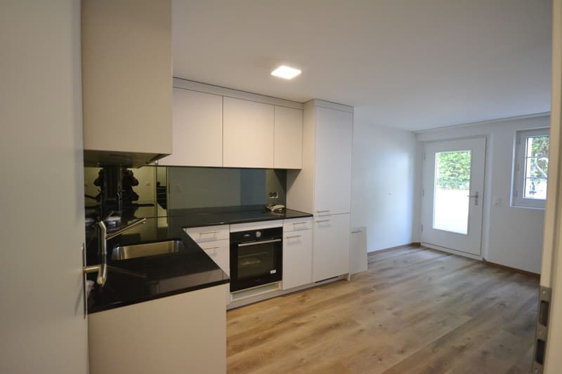 Tolle 2.5-Zimmer-Soussol-Wohnung in Villa in Aarburg (4)