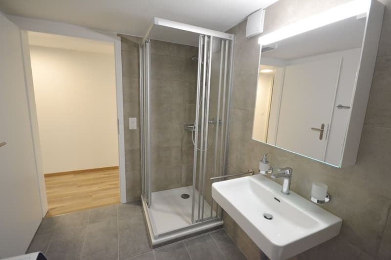 Tolle 2.5-Zimmer-Soussol-Wohnung in Villa in Aarburg (7)