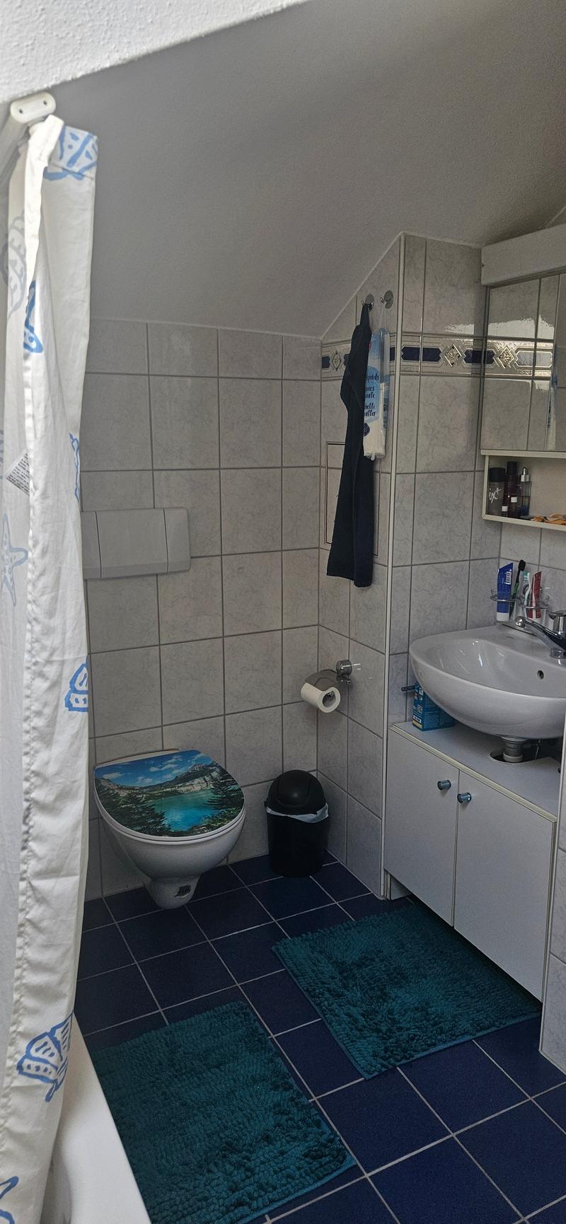 Helle und geräumige 1.5-Zimmer-Wohnung in St. Gallen (7)