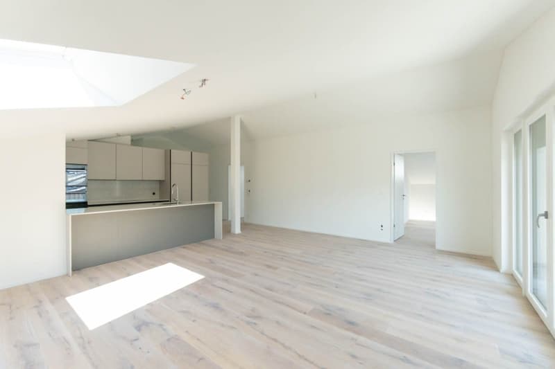Helle, neue luxuriöse 3½ Zimmer Wohnung (E7) im DG mit grossem Balkon (8)