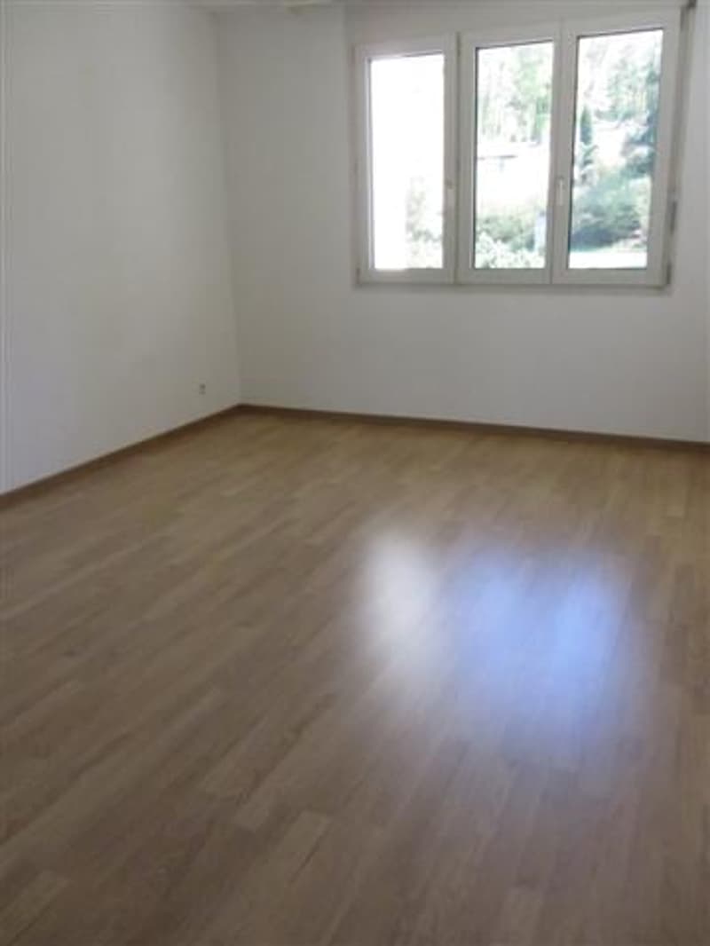 Helle 2.5-Zimmer-Wohnung mit Balkon in Regensdorf (3)
