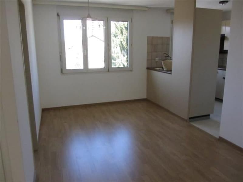 Helle 2.5-Zimmer-Wohnung mit Balkon in Regensdorf (2)