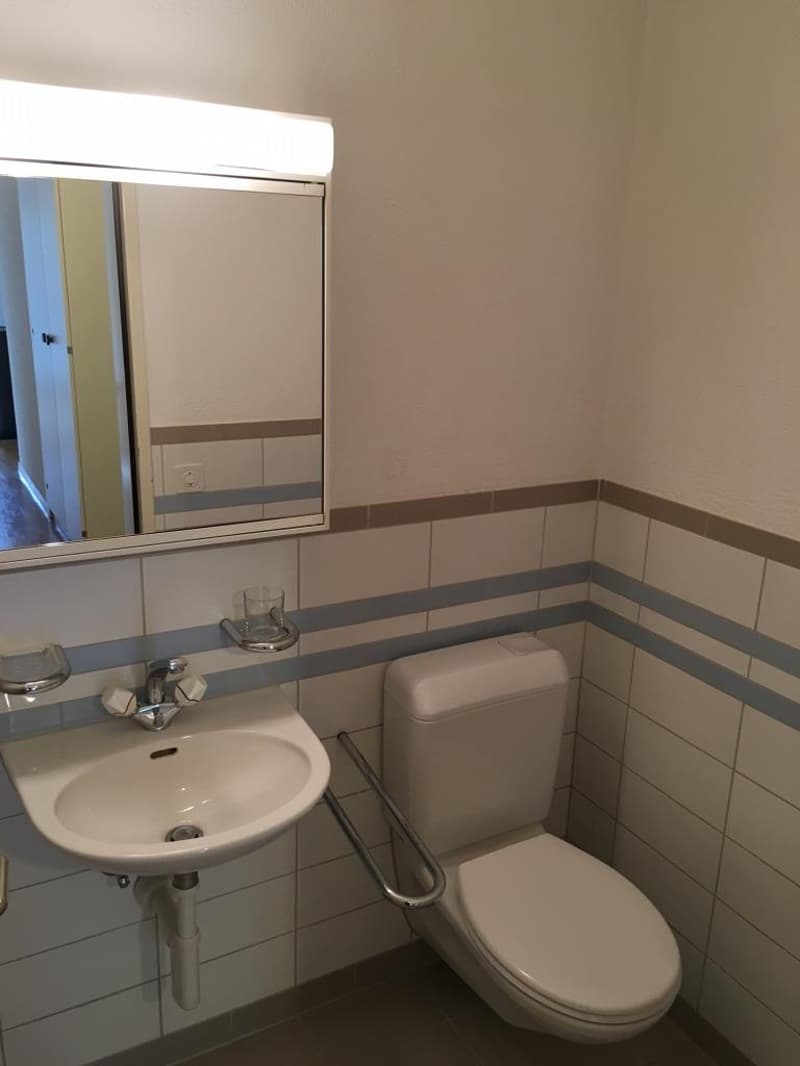 Helle 3.5-Zimmer-Wohnung mit Balkon an ruhiger Lage in Zürich-Altstetten (7)