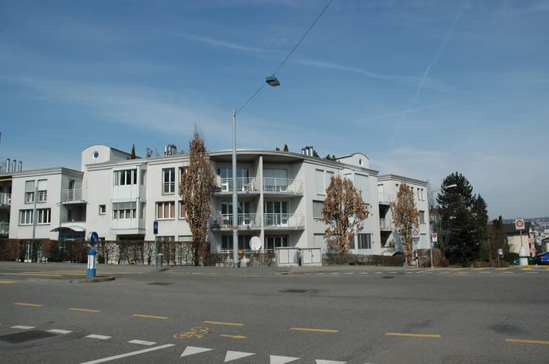 Helle 3.5-Zimmer-Wohnung mit Balkon an ruhiger Lage in Zürich-Altstetten (1)