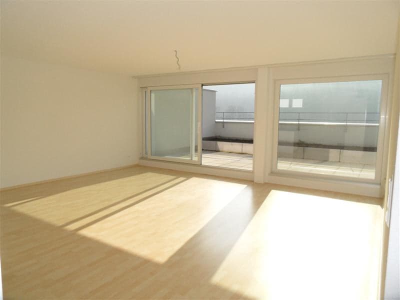Charmante 2.5-Zimmer-Terrassenwohnung im 6. OG mit Bergblick in Winterthur (3)
