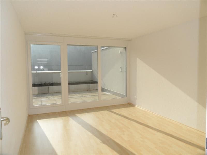 Charmante 2.5-Zimmer-Terrassenwohnung im 6. OG mit Bergblick in Winterthur (6)