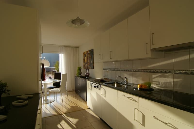 Grosszügige 4.5-Zimmer-Maisonette-Wohnung mit Terrasse und Dachgarten in Winterthur (6)