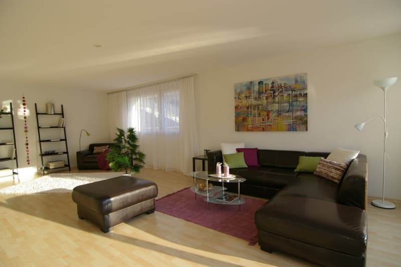 Grosszügige 4.5-Zimmer-Maisonette-Wohnung mit Terrasse und Dachgarten in Winterthur (5)