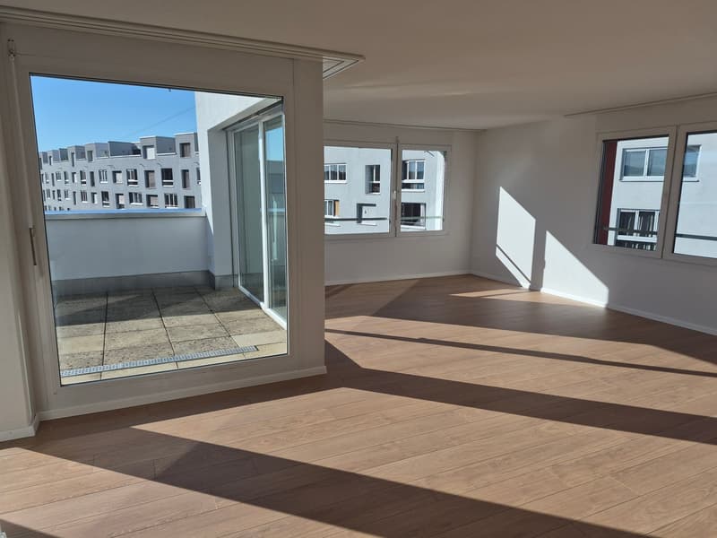 Schöne 2.5-Zimmer-Attikawohnung (2)