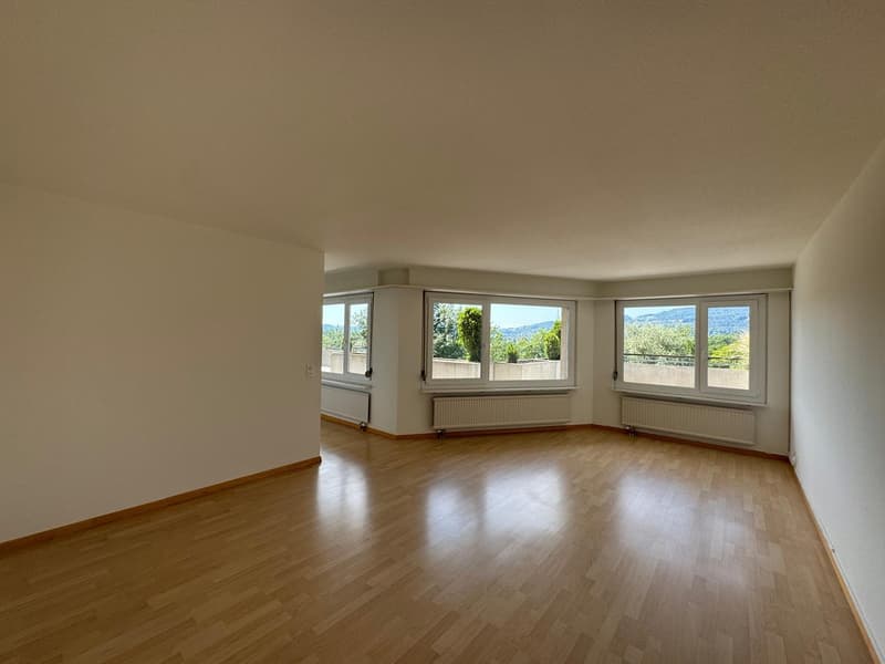 Charmante 4.5-Zimmer-Dachwohnung in Oetwil an der Limmat (7)