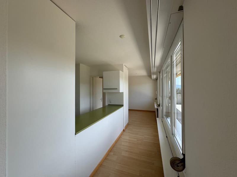 Charmante 4.5-Zimmer-Dachwohnung in Oetwil an der Limmat (3)
