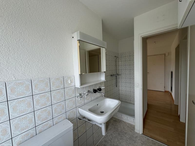 Charmante 4.5-Zimmer-Dachwohnung in Oetwil an der Limmat (15)