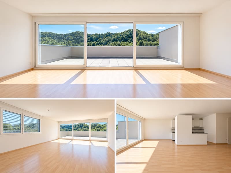 Helle 3.5-Zimmer-Terrassenwohnung im 6. OG mit traumhafter Aussicht in Winterthur (2)