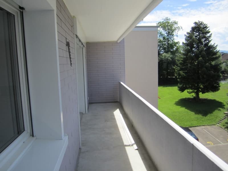 Totalsanierte 2.5-Zimmer-Wohnung mit sonnigem Balkon in Hinwil (6)