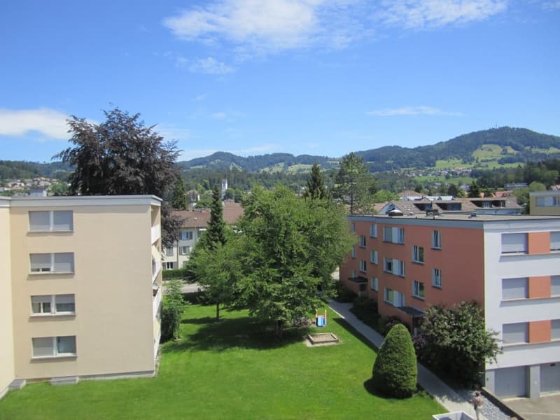 Totalsanierte 2.5-Zimmer-Wohnung mit sonnigem Balkon in Hinwil (7)