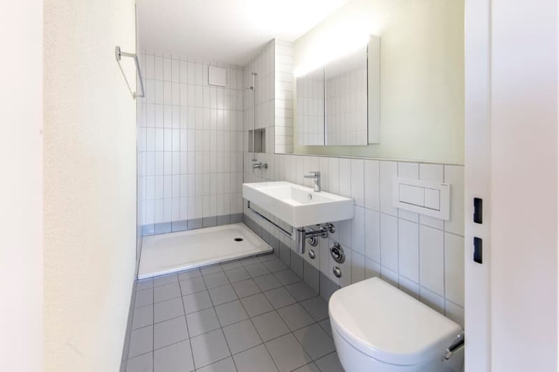Totalsanierte 2.5-Zimmer-Wohnung mit sonnigem Balkon in Hinwil (4)