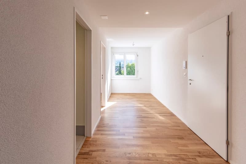 Totalsanierte 2.5-Zimmer-Wohnung mit sonnigem Balkon in Hinwil (5)