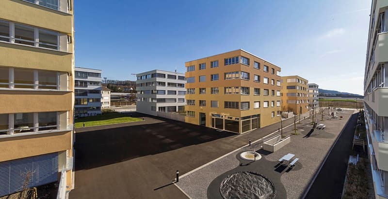 Charmante 2-Zimmer-Wohnung an zentraler Lage in Olten (1)