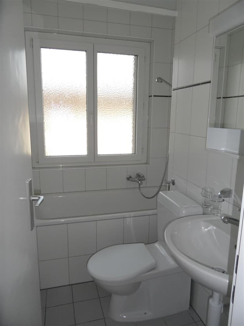 Schöne 3 Zimmer-Wohnung mit sonnigem Balkon (4)