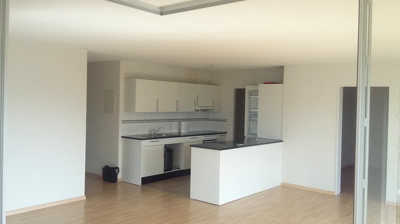 Moderne und grosszügige 2.5-Zimmerwohnung im 5.OG mit Wintergarten (4)