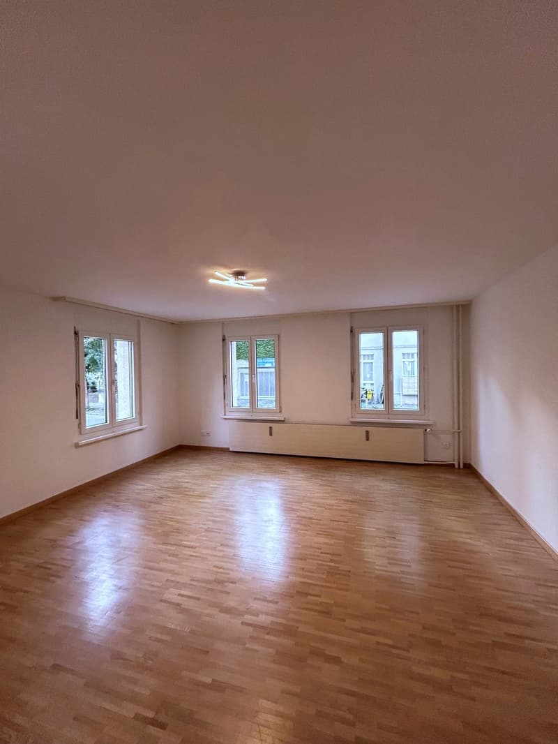 Gemütliche 2.5-Zimmer-Wohnung im Erdgeschoss in St. Gallen (1)